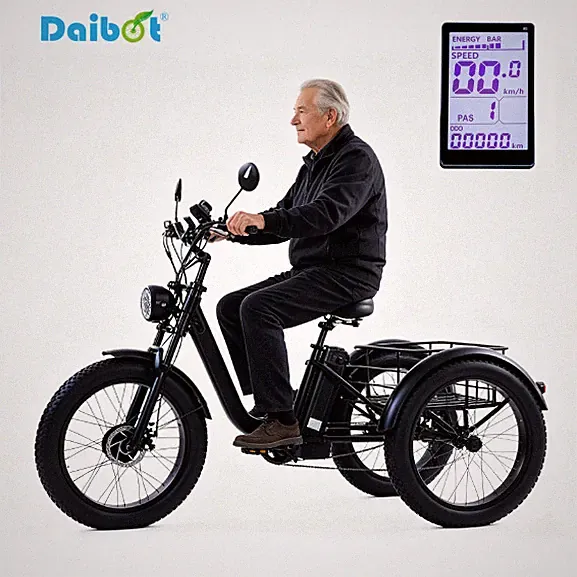 Daibot 24 Inch Fat Tire Electric Tricycle 750W Adults Snow Mountain Cargo Bike